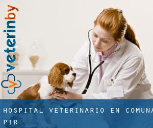 Hospital veterinario en Comuna Pir