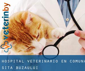 Hospital veterinario en Comuna Sita Buzăului