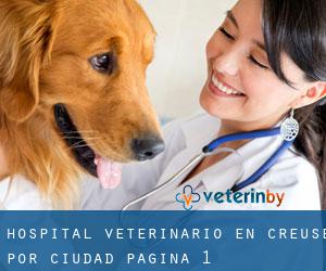 Hospital veterinario en Creuse por ciudad - página 1
