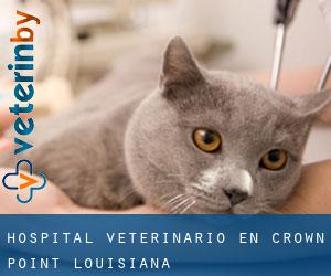Hospital veterinario en Crown Point (Louisiana)
