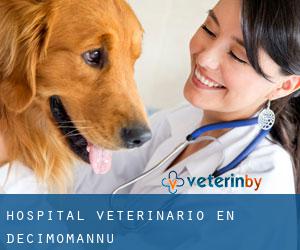Hospital veterinario en Decimomannu
