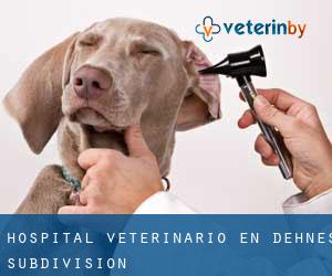 Hospital veterinario en Dehne's Subdivision
