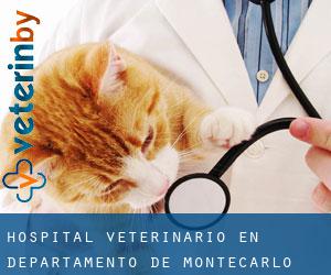 Hospital veterinario en Departamento de Montecarlo