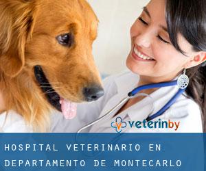 Hospital veterinario en Departamento de Montecarlo
