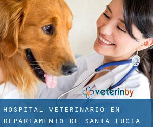 Hospital veterinario en Departamento de Santa Lucía