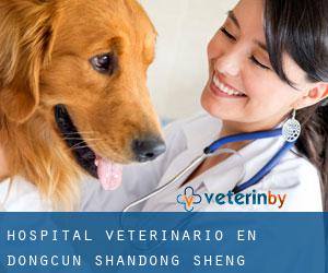 Hospital veterinario en Dongcun (Shandong Sheng)
