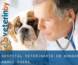 Hospital veterinario en Donghe (Anhui Sheng)