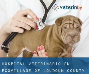 Hospital veterinario en EcoVillage of Loudoun County