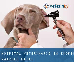 Hospital veterinario en Ekombe (KwaZulu-Natal)