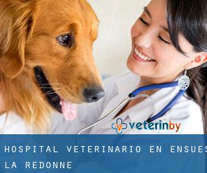 Hospital veterinario en Ensuès-la-Redonne