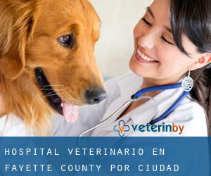 Hospital veterinario en Fayette County por ciudad importante - página 1