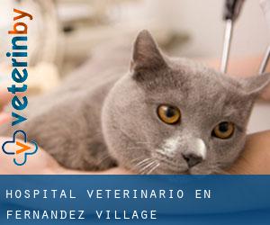 Hospital veterinario en Fernandez Village