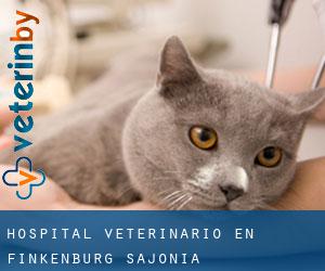Hospital veterinario en Finkenburg (Sajonia)
