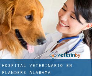 Hospital veterinario en Flanders (Alabama)