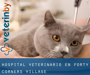 Hospital veterinario en Forty Corners Village