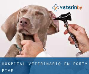 Hospital veterinario en Forty Five
