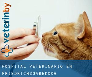 Hospital veterinario en Friedrichsgabekoog