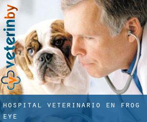 Hospital veterinario en Frog Eye