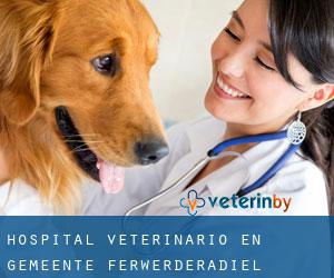 Hospital veterinario en Gemeente Ferwerderadiel