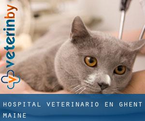 Hospital veterinario en Ghent (Maine)