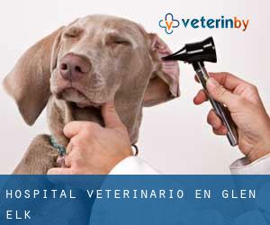 Hospital veterinario en Glen Elk