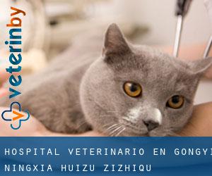 Hospital veterinario en Gongyi (Ningxia Huizu Zizhiqu)