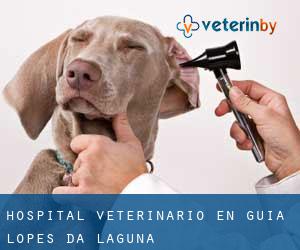 Hospital veterinario en Guia Lopes da Laguna