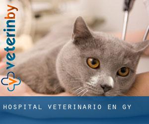 Hospital veterinario en Gy