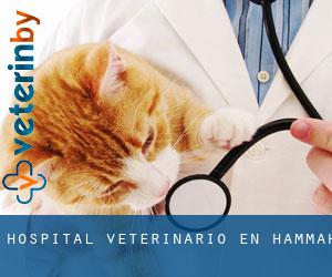 Hospital veterinario en Hammah