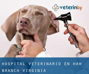 Hospital veterinario en Haw Branch (Virginia)