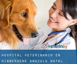 Hospital veterinario en Hibberdene (KwaZulu-Natal)