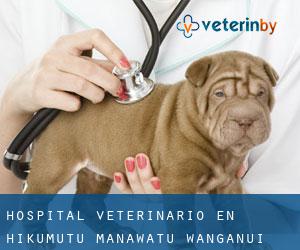 Hospital veterinario en Hikumutu (Manawatu-Wanganui)