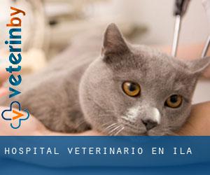 Hospital veterinario en Ila