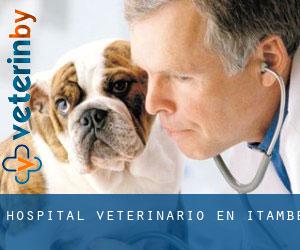 Hospital veterinario en Itambé