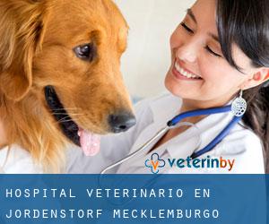 Hospital veterinario en Jördenstorf (Mecklemburgo-Pomerania Occidental)
