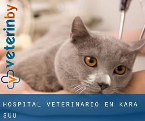 Hospital veterinario en Kara Suu
