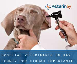 Hospital veterinario en Kay County por ciudad importante - página 1