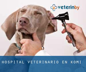 Hospital veterinario en Komi