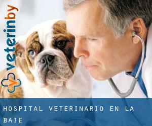 Hospital veterinario en La Baie