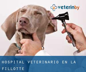Hospital veterinario en La Fillotte