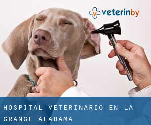 Hospital veterinario en La Grange (Alabama)