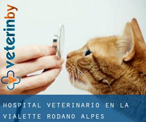 Hospital veterinario en La Vialette (Ródano-Alpes)