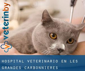 Hospital veterinario en Les Grandes Carbonnières