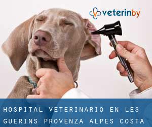 Hospital veterinario en Les Guérins (Provenza-Alpes-Costa Azul)