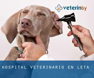 Hospital veterinario en Leta