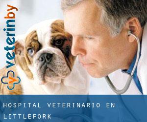 Hospital veterinario en Littlefork