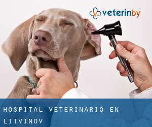 Hospital veterinario en Litvínov