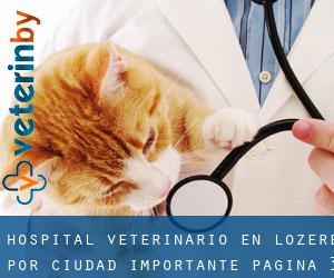 Hospital veterinario en Lozere por ciudad importante - página 3