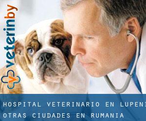 Hospital veterinario en Lupeni (Otras Ciudades en Rumanía)