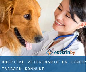 Hospital veterinario en Lyngby-Tårbæk Kommune
